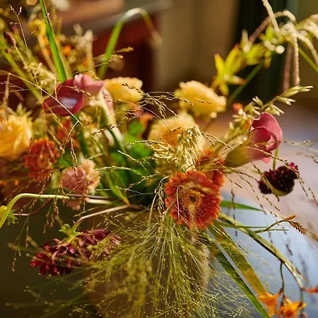 Bel Air Des Landes بيت ضيافة