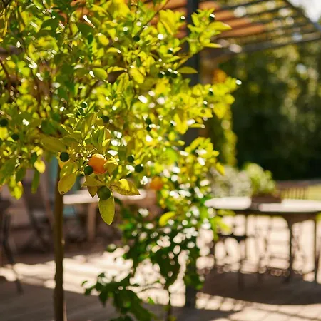 Gasthof Bel Air Des Landes Castets