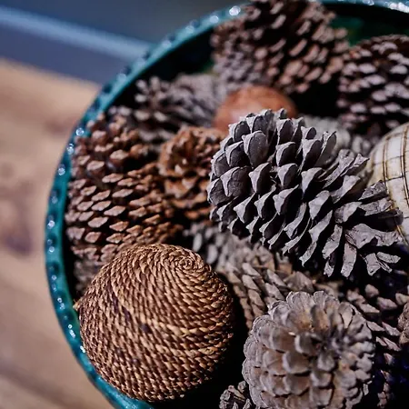 بيت ضيافة Bel Air Des Landes كاستيتس