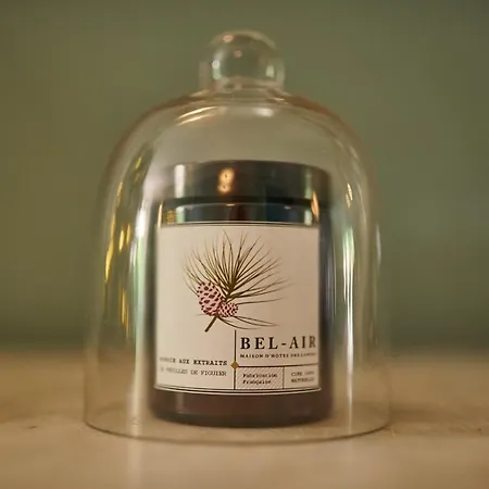 Bel Air Des Landes 4*