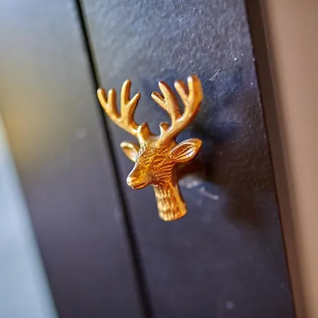 Gasthof Bel Air Des Landes Castets