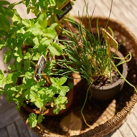 Bel Air Des Landes 4* كاستيتس