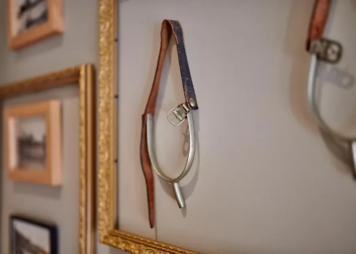 Bel Air Des Landes Affittacamere Castets